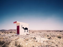 Graffiti camel en soie Morgan, contemporain, paysage, photographie