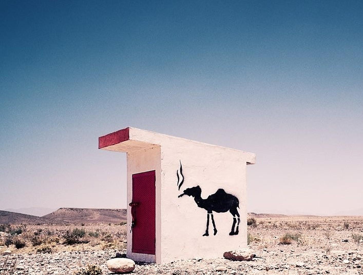 Camel Graffiti - Morgan Seide, zeitgenössisch, Landschaft, Fotografie – Photograph von Morgan Silk