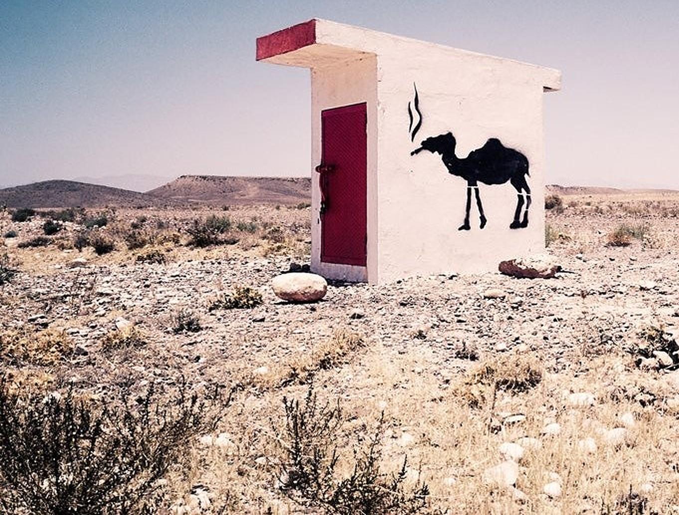 Camel Graffiti - Morgan Seide, zeitgenössisch, Landschaft, Fotografie (Zeitgenössisch), Photograph, von Morgan Silk