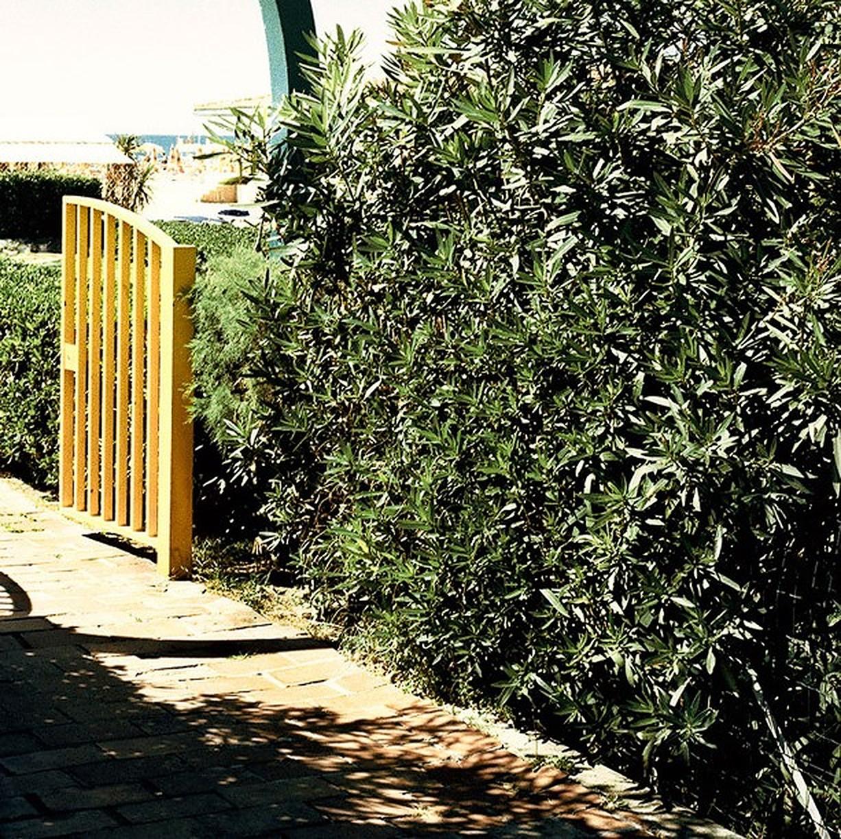Lido - Soie Morgan, photographie contemporaine, bord de mer, océans, paysage - Photograph de Morgan Silk