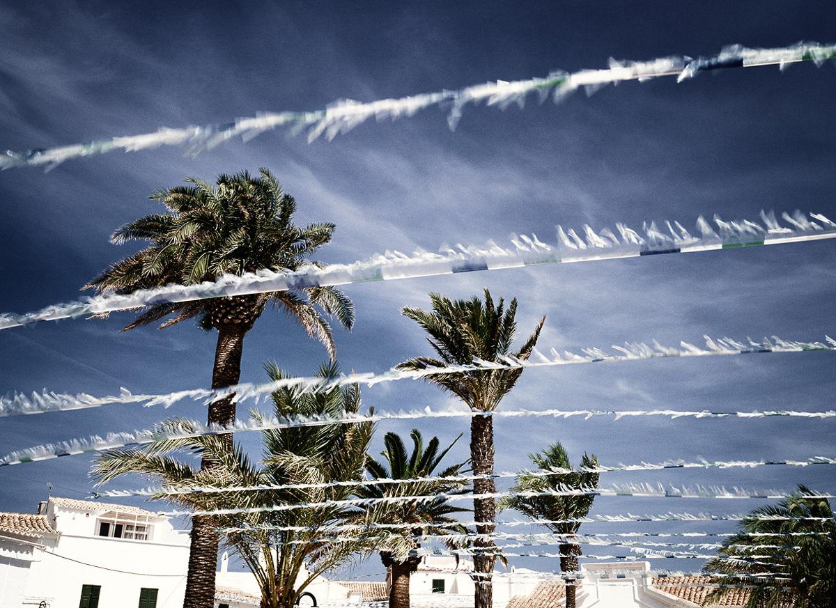 Palms - Morgan Silk, Contemporary Photography, Palm Trees, Desert, Sky