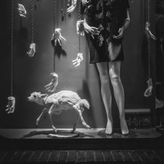 Williamsburg Window, Brooklyn - Surrealism Window Photography White Dog Hands