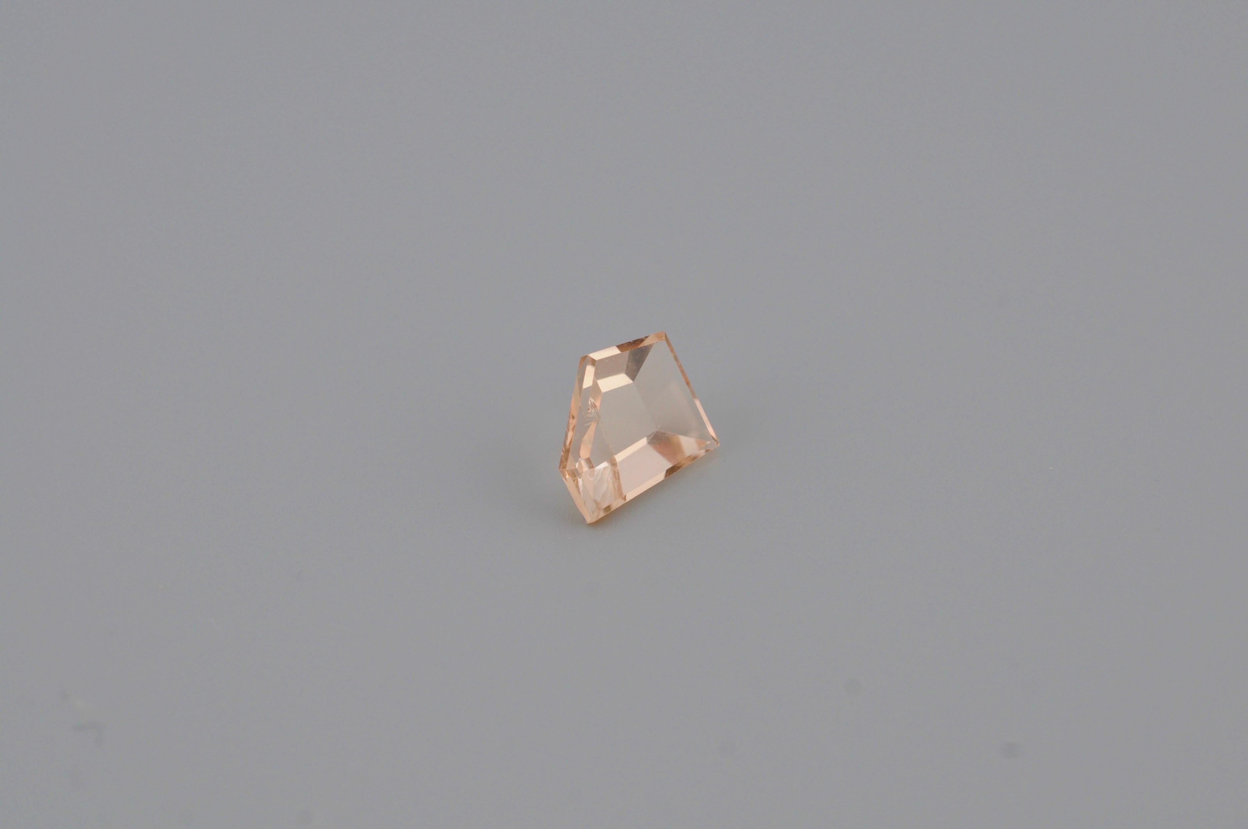 Morganite naturale - 3.10 carati

Una morganite naturale dal taglio fantasia con una tenue tonalità rosa. La gemma presenta una leggera inclusione visibile all'occhio, sottolineando la sua origine naturale. Pesa 3,10 ct.

Verrà fornito un rapporto
