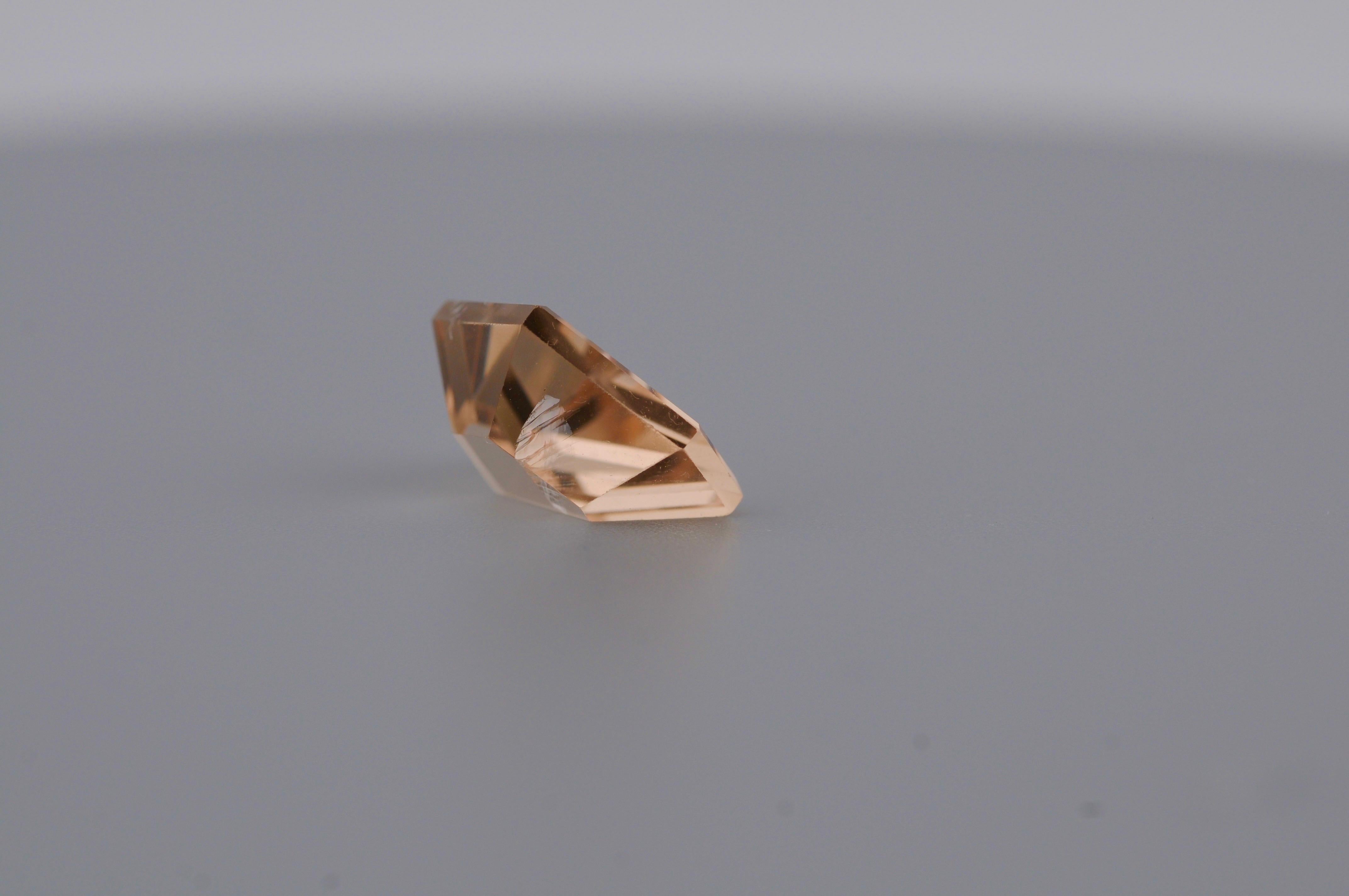 Estetismo Morganite Namibia  - 3,10 ct in vendita