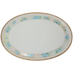 Antique Moritz Zdekauer Hand-Painted Oval Porcelain Platter, 1914, Austria Artist Signed