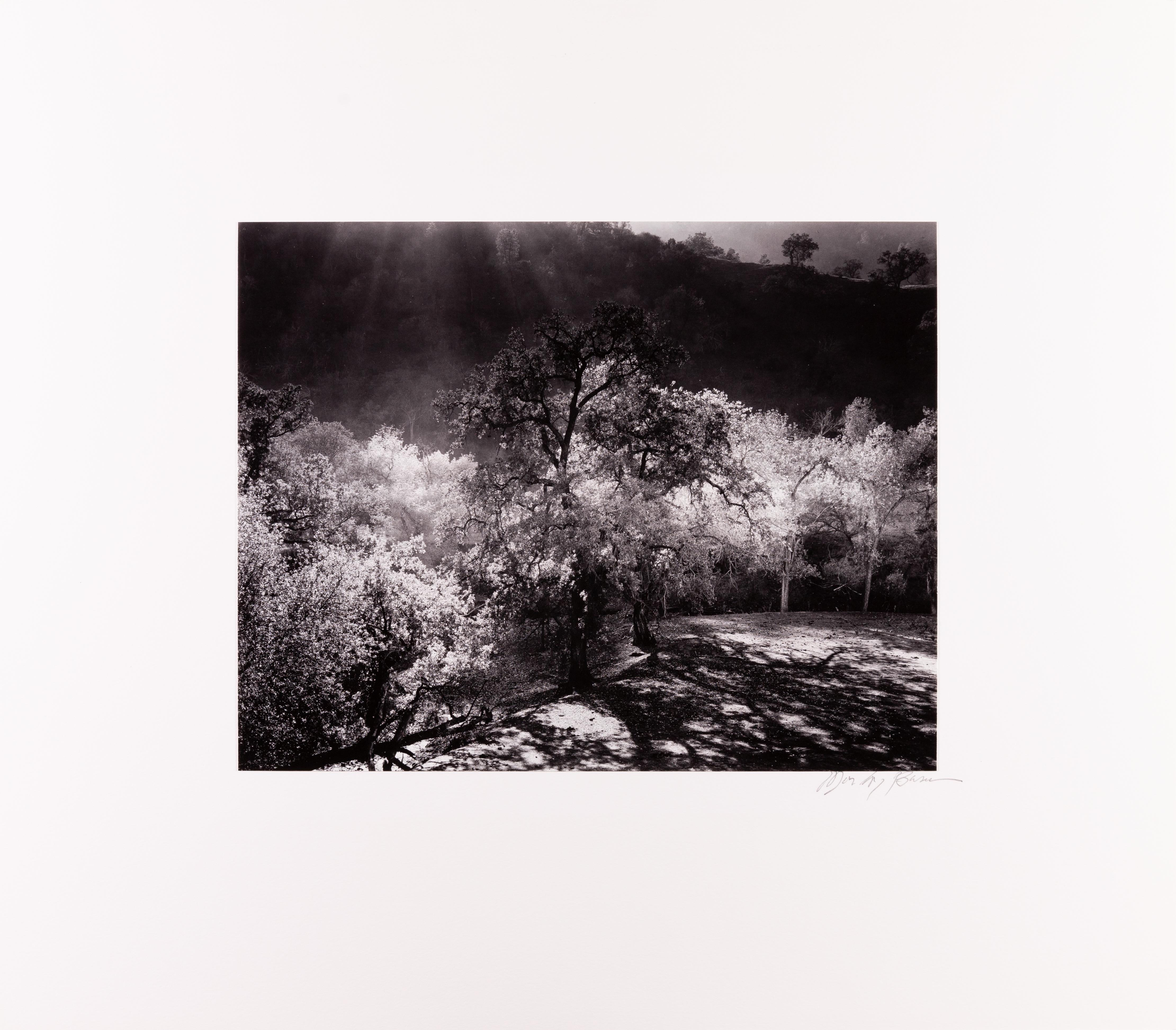 Priest Valley, Coalinga, CA - Photograph de Morley Baer