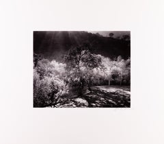 Priest Valley, Coalinga, CA