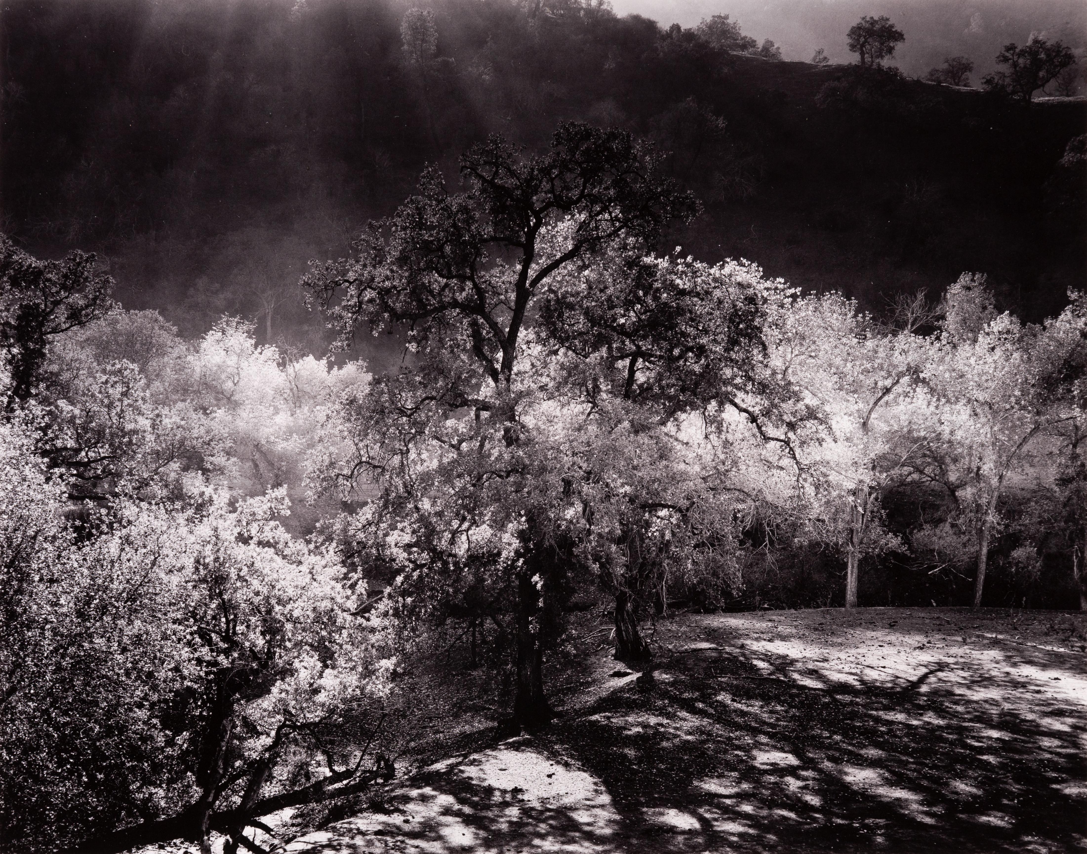 Landscape Photograph Morley Baer - Priest Valley, Coalinga, CA