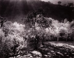 Priest Valley, Coalinga, CA