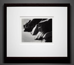 Tidal Rocks, Garrapata Rock Ledge