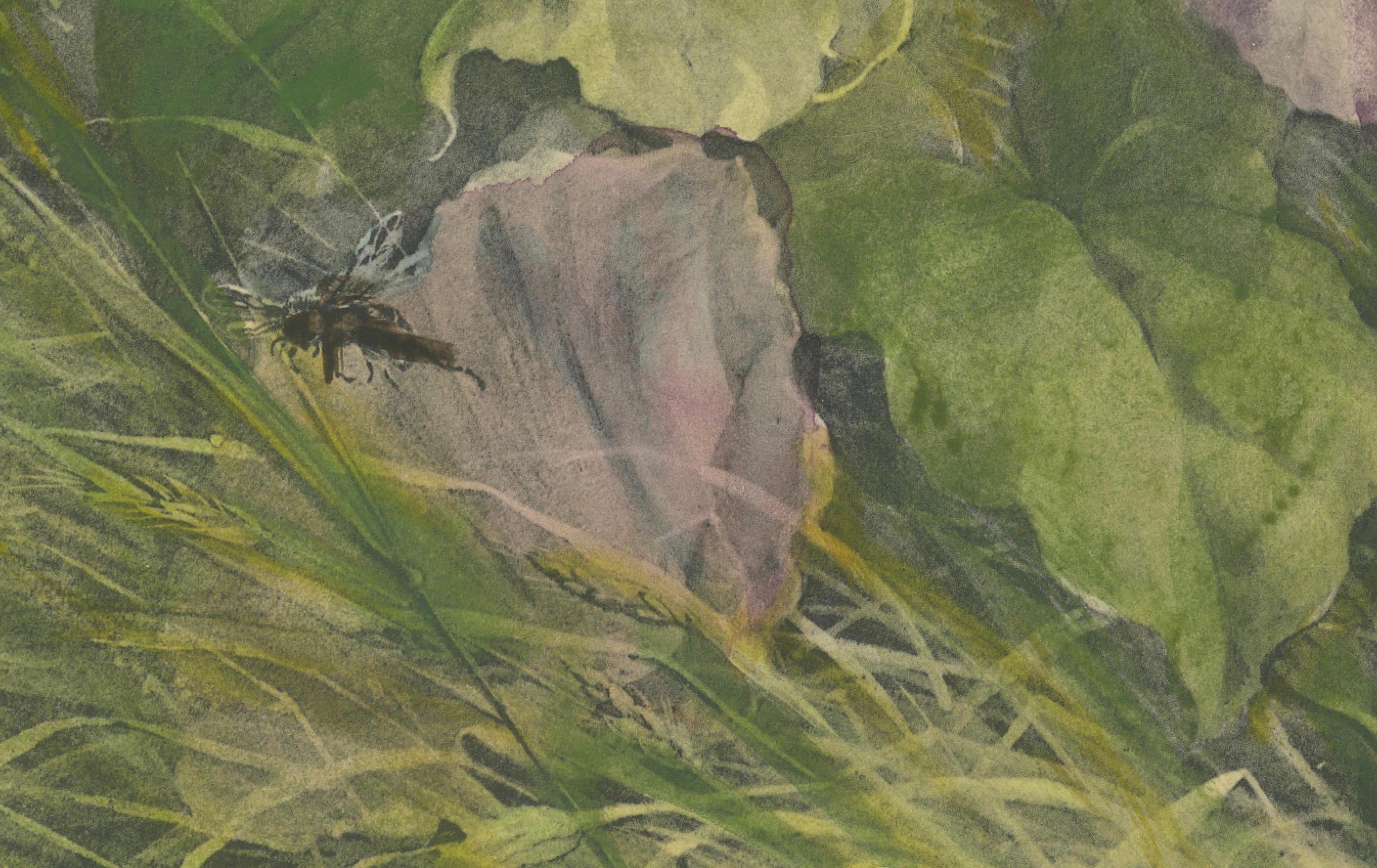 Morgenlatte mit Schmetterling - Giacomelli's Nature Print, CIRCA 1891 (Spätes 19. Jahrhundert) im Angebot