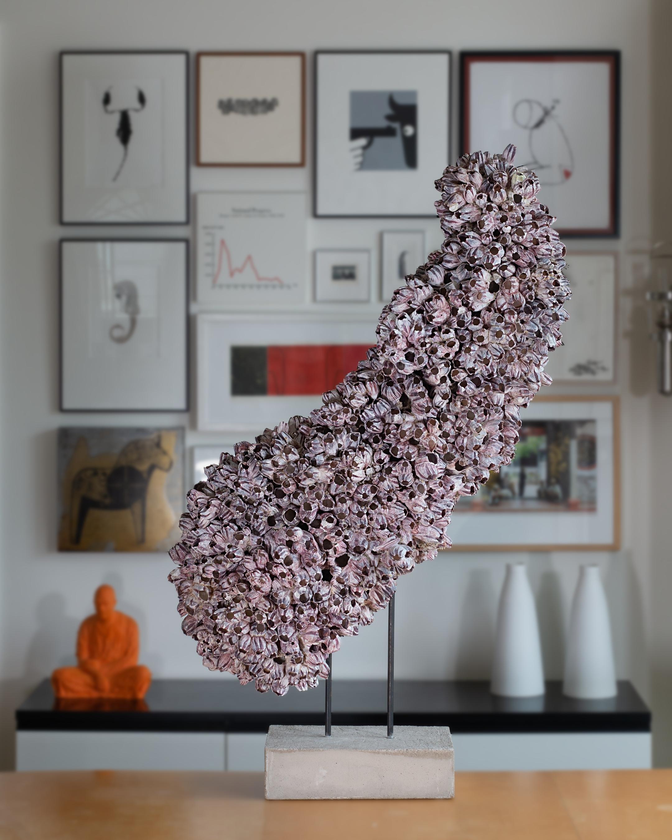 Morning Glory – unique free-standing barnacle sculpture by Shellman Scandinavia.

Morning Glory is a potent, free-standing sculpture with small clusters of Papua New Guinea barnacles carefully put together by hand, one by one. After four weeks on