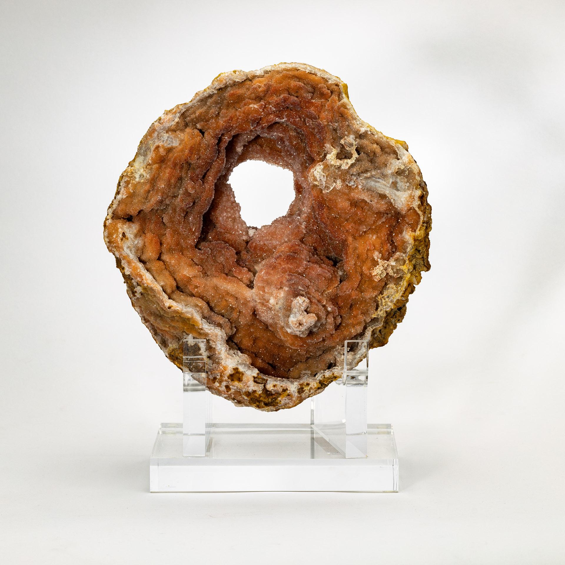 Moroccan Amethyst Geode with Hematite Inclusions
Origin: Morocco

This unusual Moroccan geode displays amethyst crystals with a distinctive brown hue, the result of fine hematite inclusions within the quartz. The warm earthy tones of the crystals