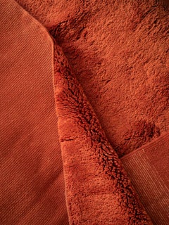 Moroccan Beni Mrirt rug 3’x5’, Terracotta Red Color Shag Rug, Custom-Made