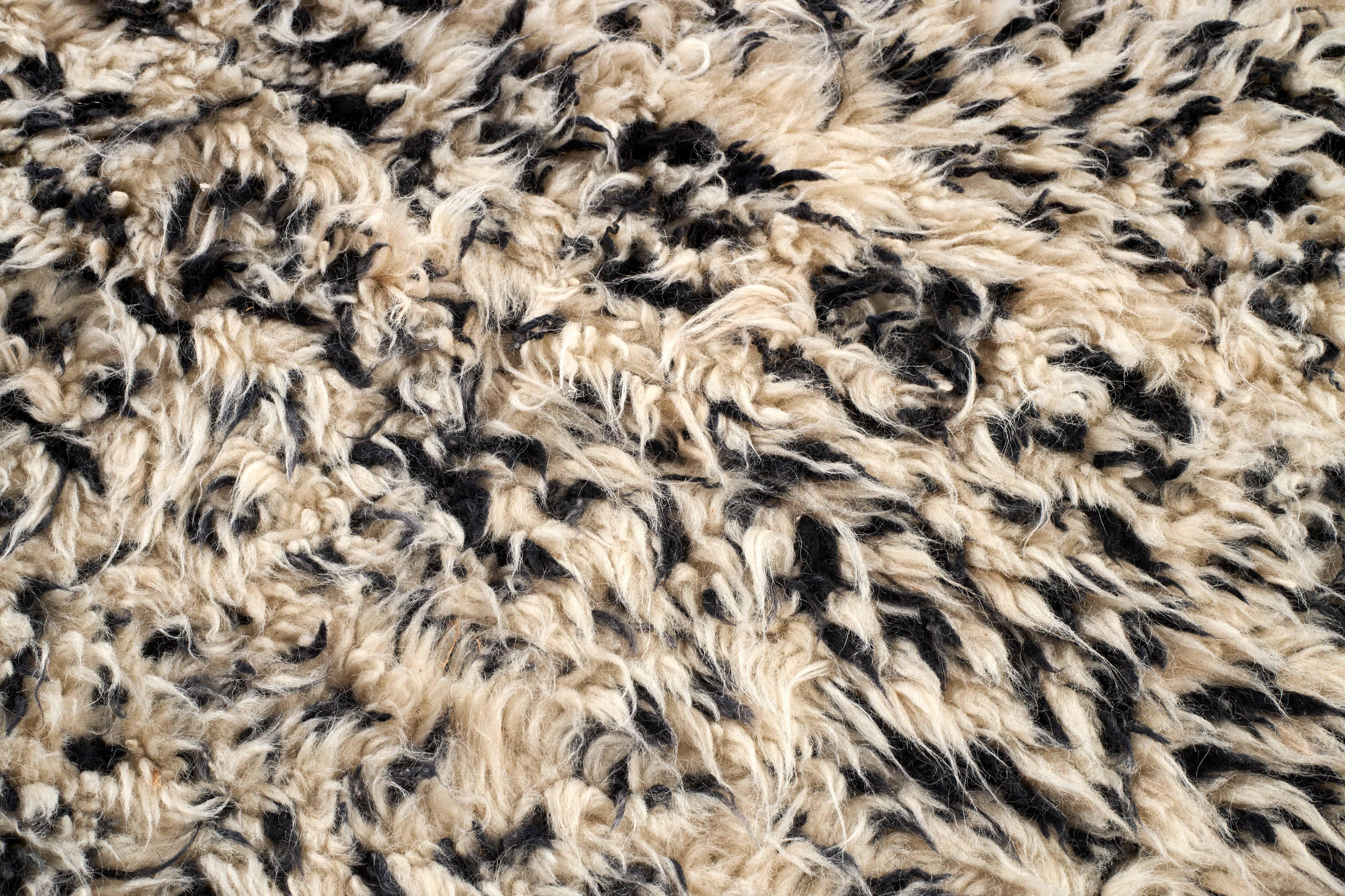 20th Century Moroccan Berber Rug For Sale
