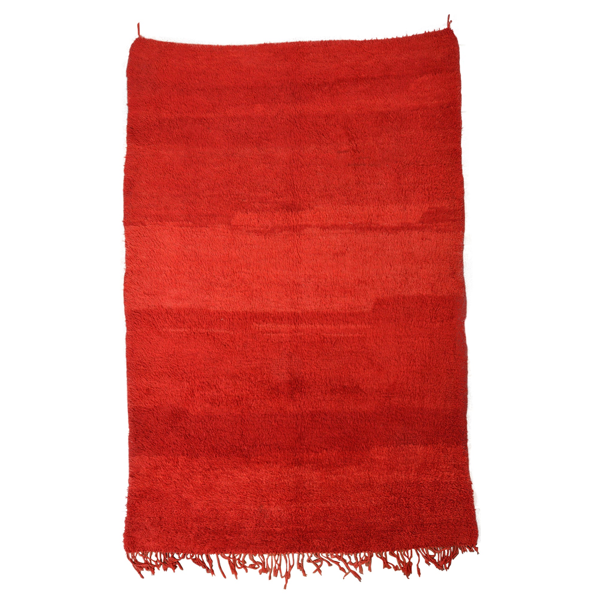 Moroccan CHICHAUA Red Carpet