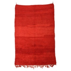 Moroccan CHICHAUA Red Carpet