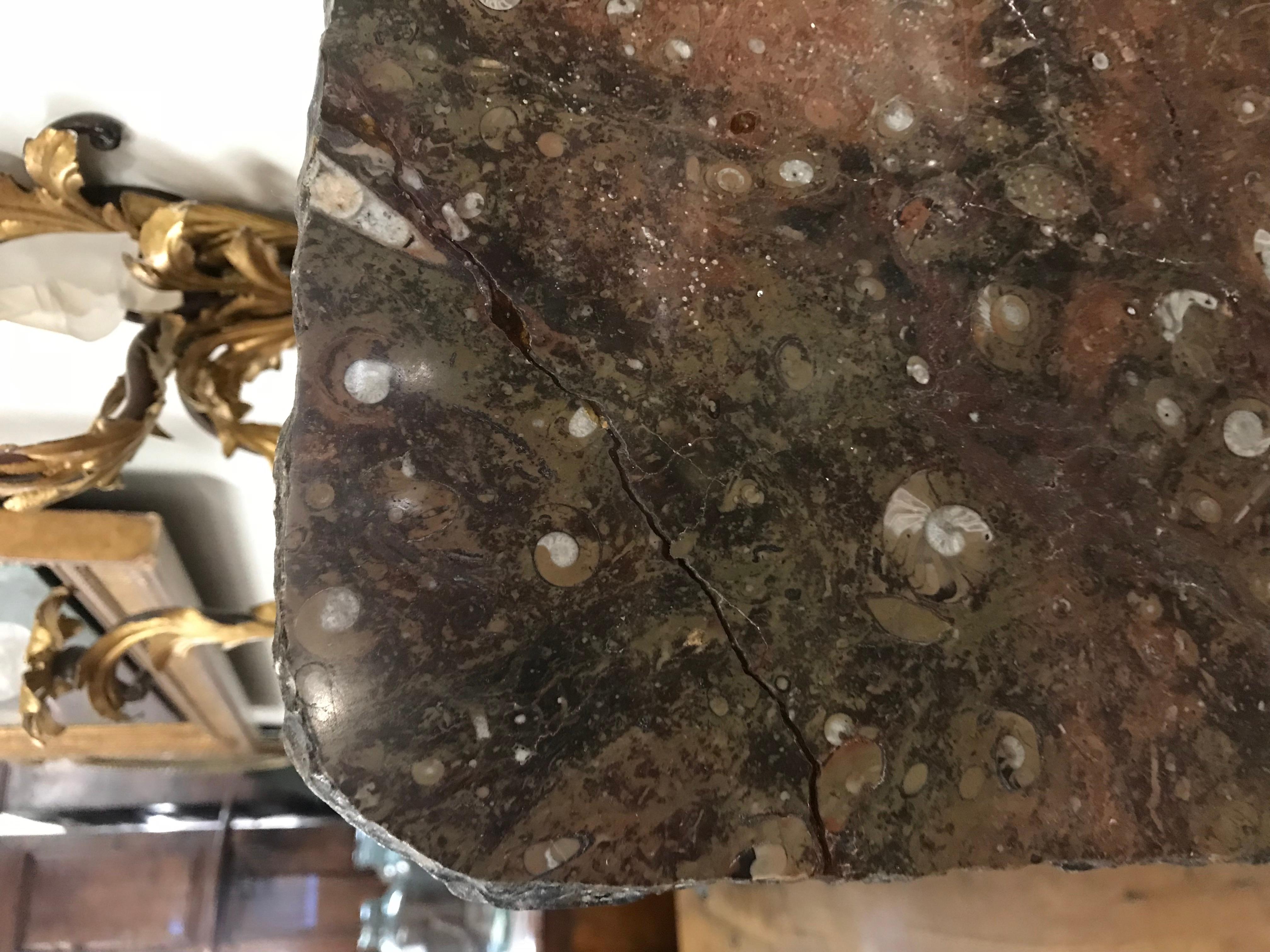 18th Century and Earlier Moroccan Fossil Stone Marble Slab