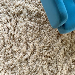 Moroccan Shag Rug 9x12 FT Atlas Echo, Immaculate Creme Long Pile Rug