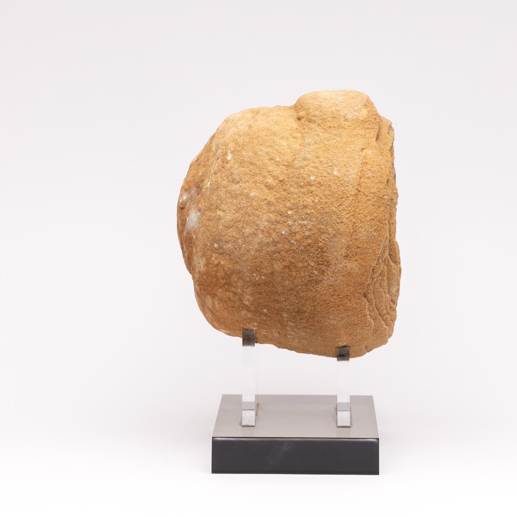 Moroccan Stromatolite on Acrylic Base In New Condition In Polanco, CDMX
