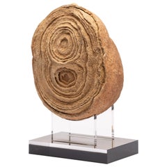 Marokkanischer Stromatolith auf Acrylsockel