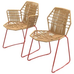 Silla de Comedor Moroso Tropicalia en Piel con o Sin Brazos