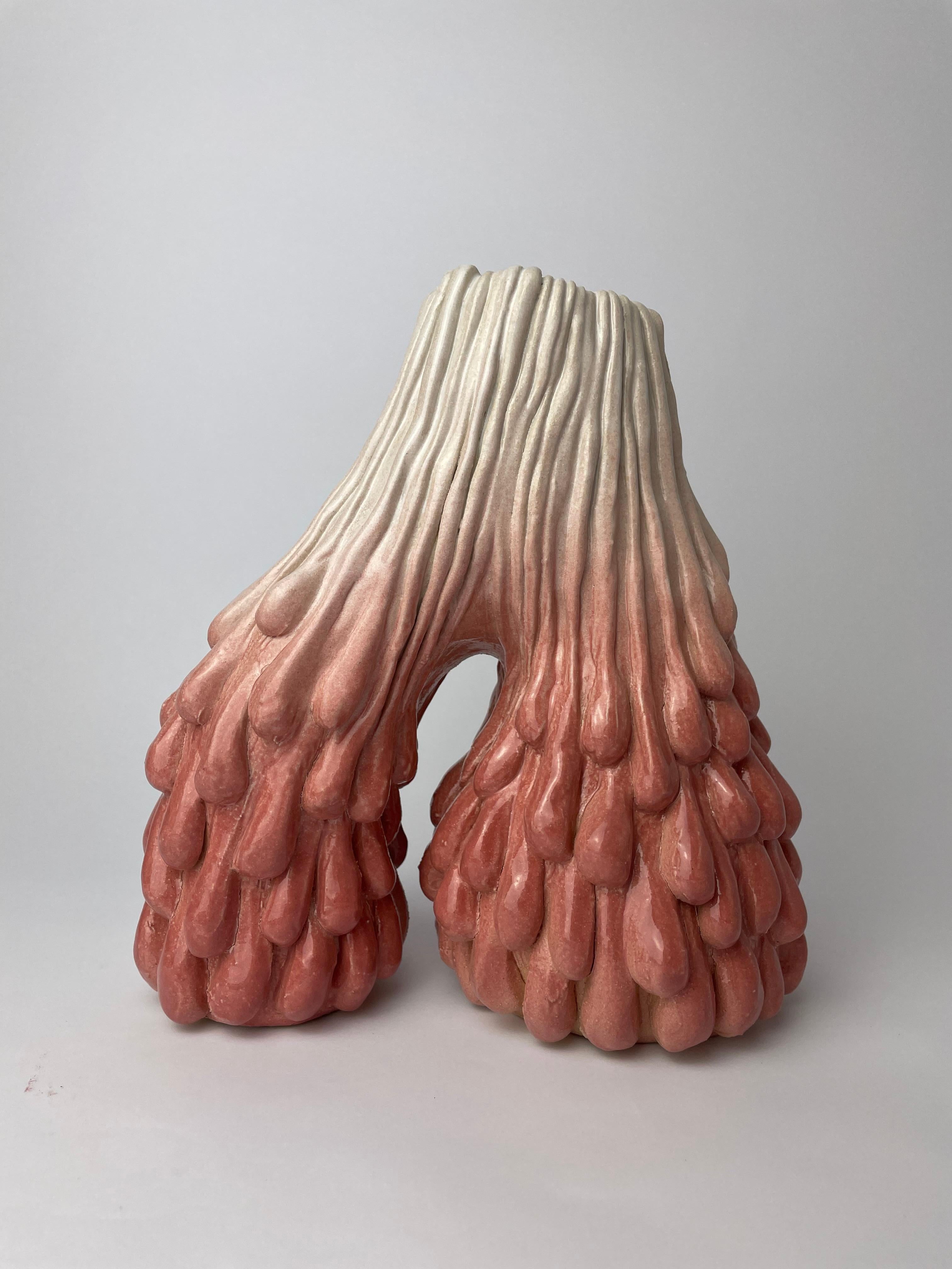Modern Morphic Arc Vase Pink by HS Studio