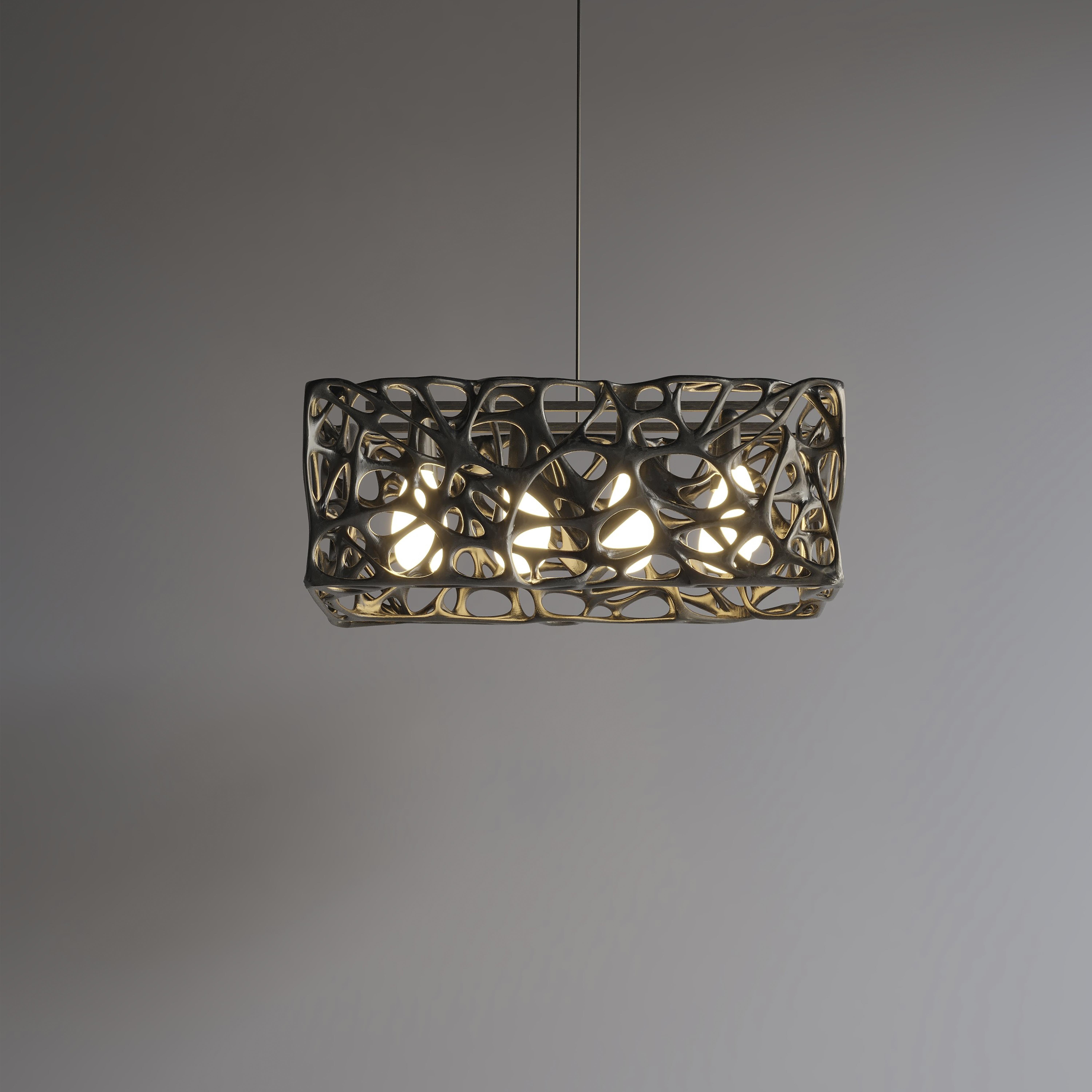 Other Morphogen Pendant Lamp by John Brevard For Sale