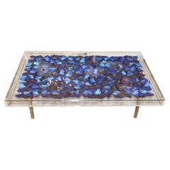 Morphos Butterflies Plexiglass Coffee Table