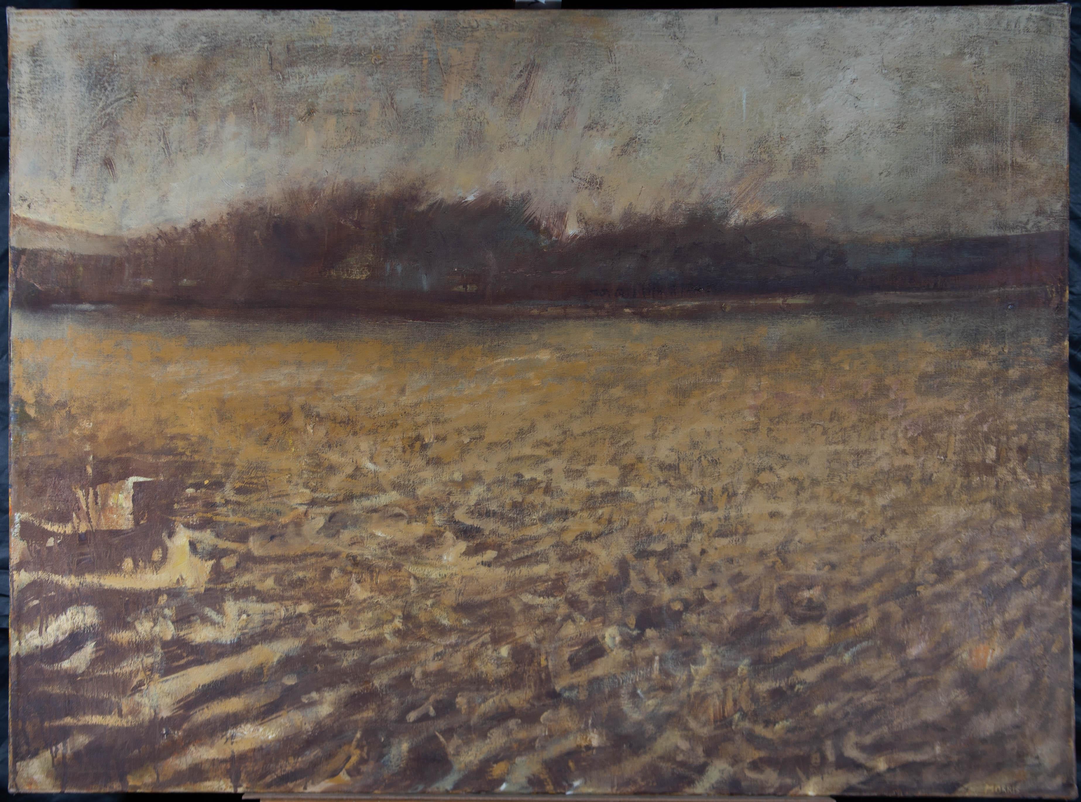 An expansive contemporary oil landscape showing a rustic wheat field, cut down to the stubble. A dark treeline breaks the field away from the sky. The artist has signed to the lower right. On canvas.
