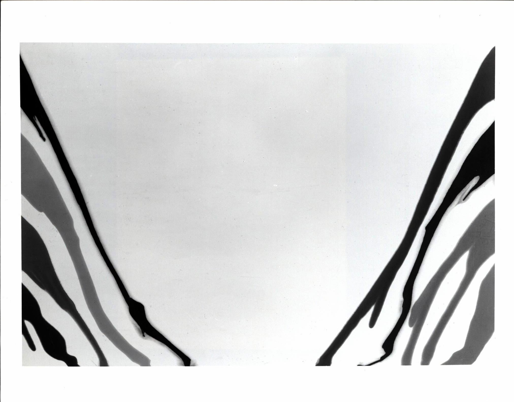 Vintage Morris Louis press photographs MoMa (Morris Louis Alpha Alpha Albireo) For Sale 1