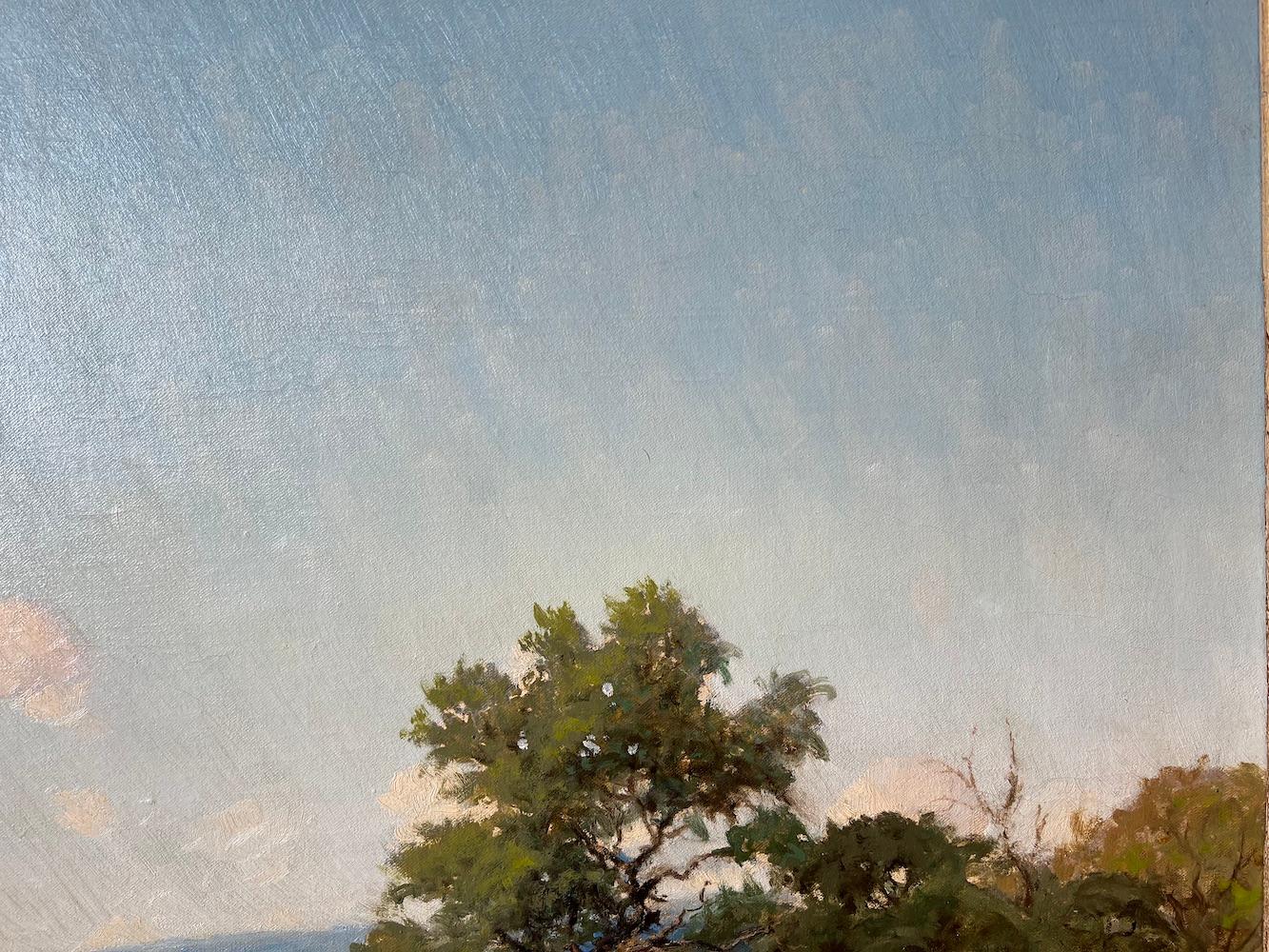 Morris Walton Leader (1877- 1966)

 Morris Walton Leader wurde 1877 in Marshall, Texas, geboren. Er starb in Austin, Texas, wo er schon als kleiner Junge gelebt hatte. Er studierte bei San Antonio's Artists Harry Anthony DeYoung, P.L. Hohnstedt,