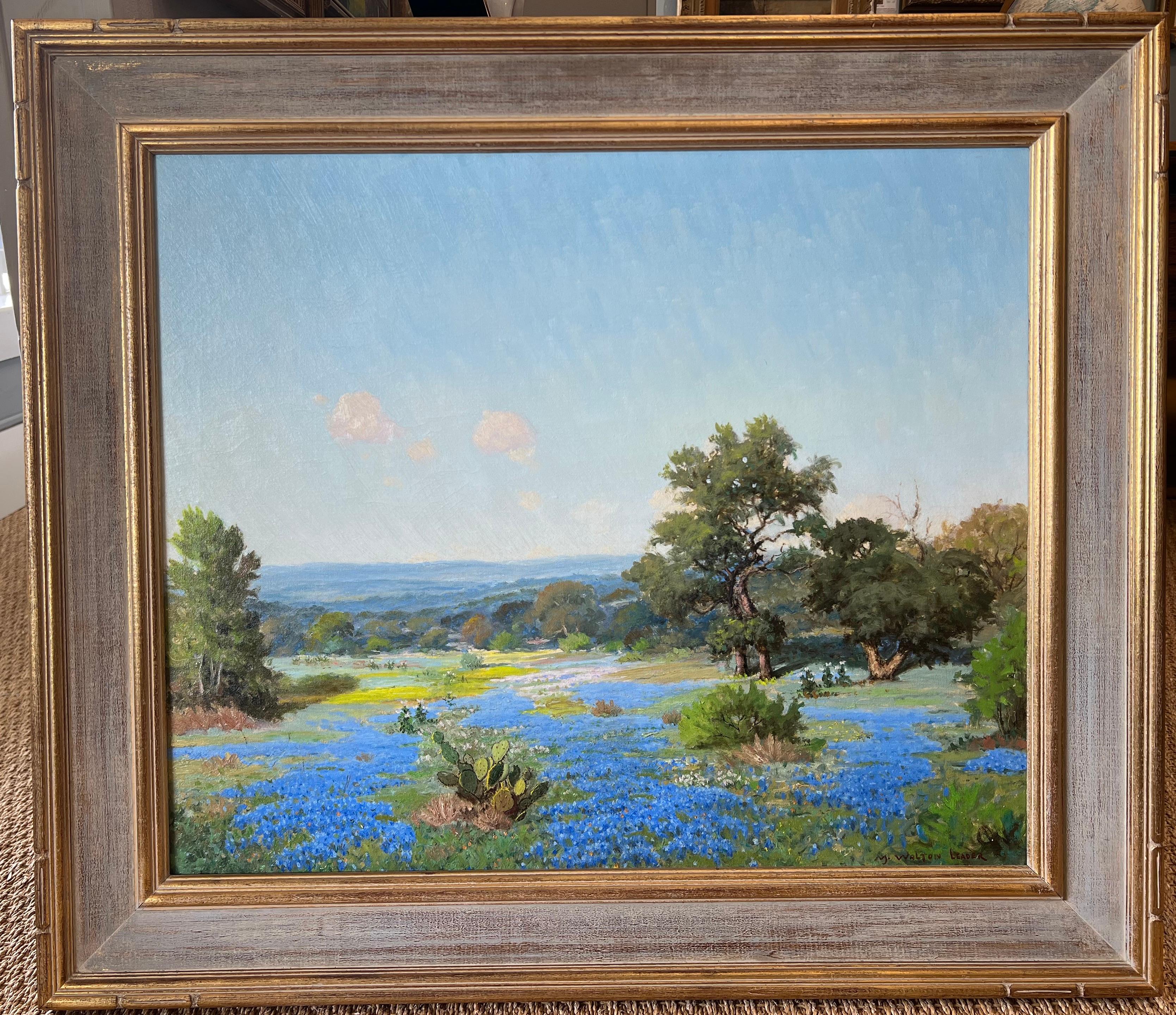 Blaubonnets unter texanischer Sonne