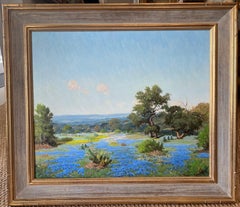 Bluebonnets under Texas Sun