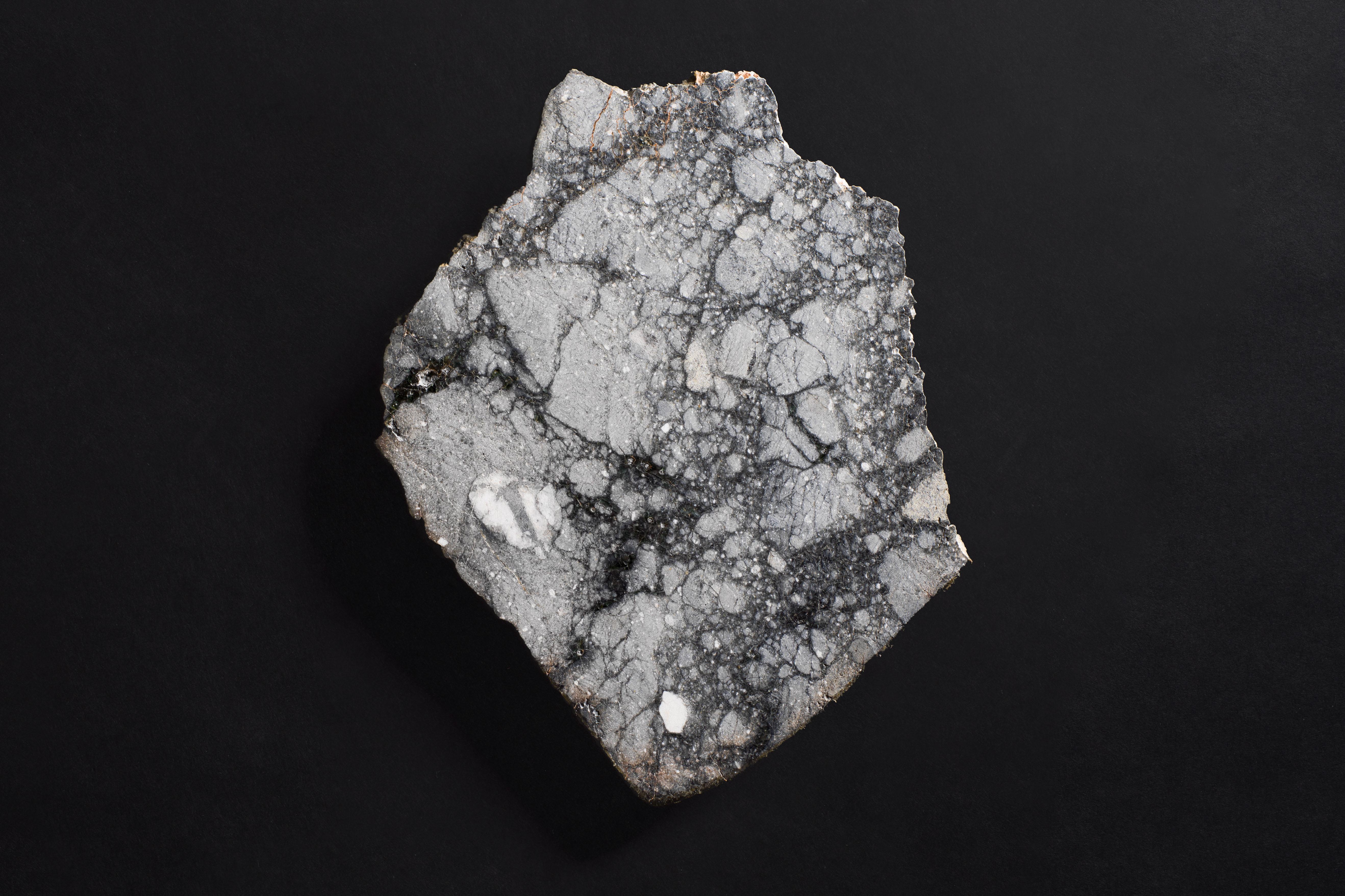 Mosaikartiger Querschnitt eines Mondmeteoriten (18. Jahrhundert und früher) im Angebot
