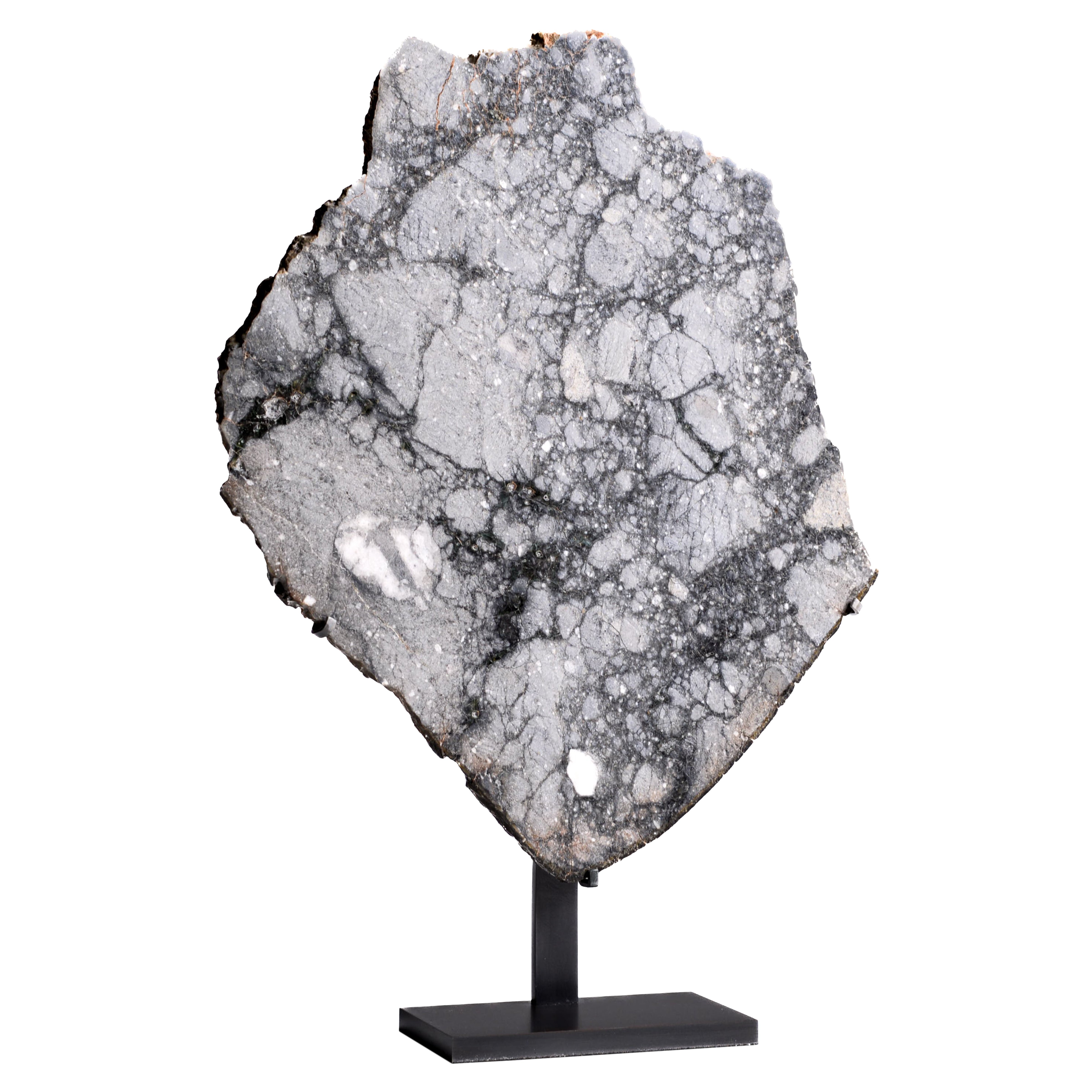 Mosaikartiger Querschnitt eines Mondmeteoriten im Angebot