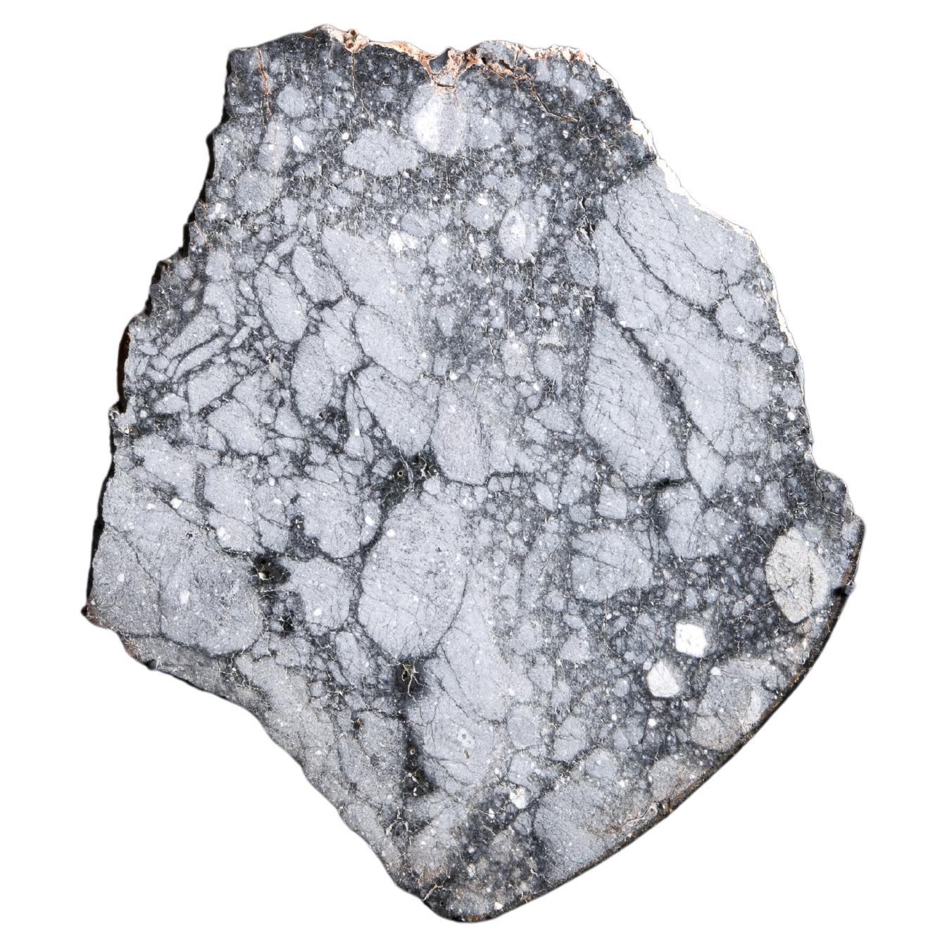 Espécimen de meteorito lunar en forma de mosaico con interior gris y blanco brechado en venta
