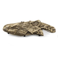 Cabeza y columna vertebral de Mosasaurus  - Cráneo, cuello, hueso curvo y cola