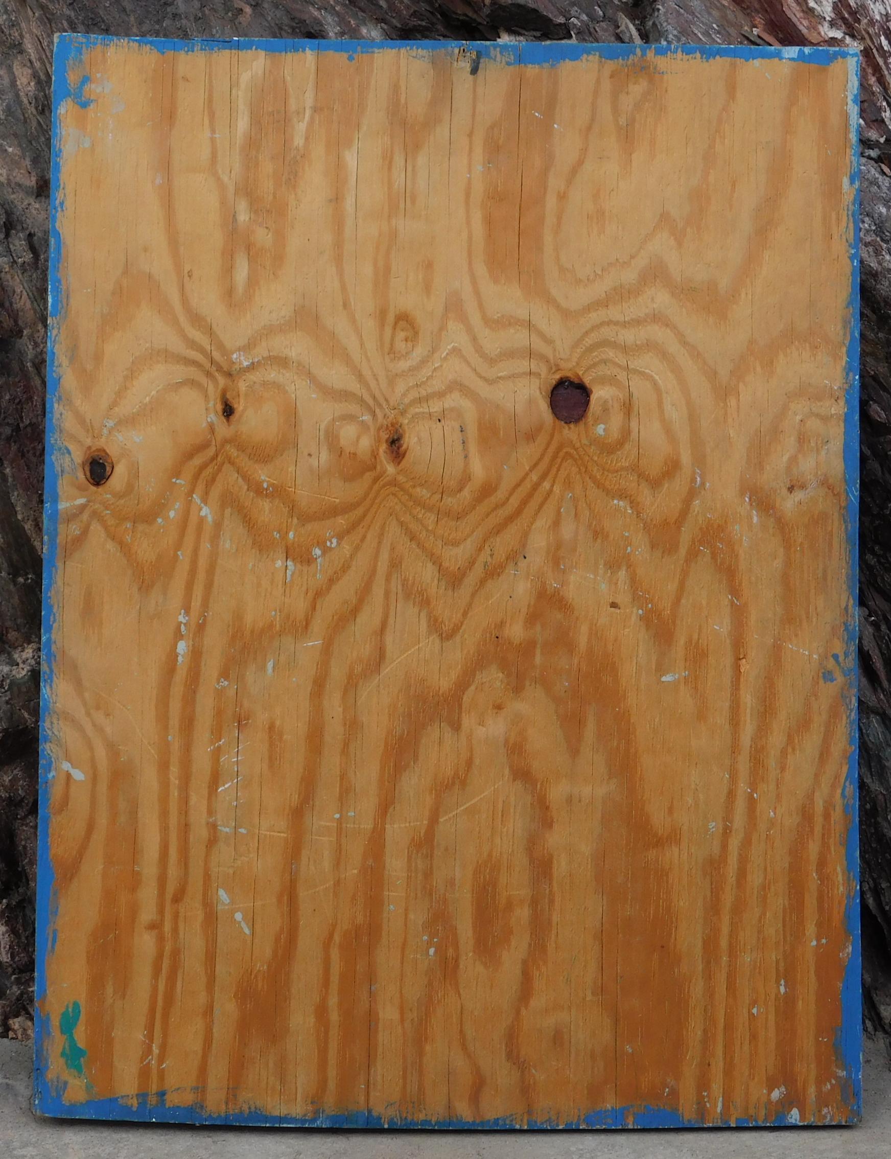 Quadro con serpente a sonagli di Mose Tolliver su pannello di Wood - Anni '80 circa in vendita 5