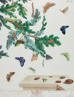 Butterflies & Moths in a Landscape: 18th C. Hand-colored Engraving by M. Harris
