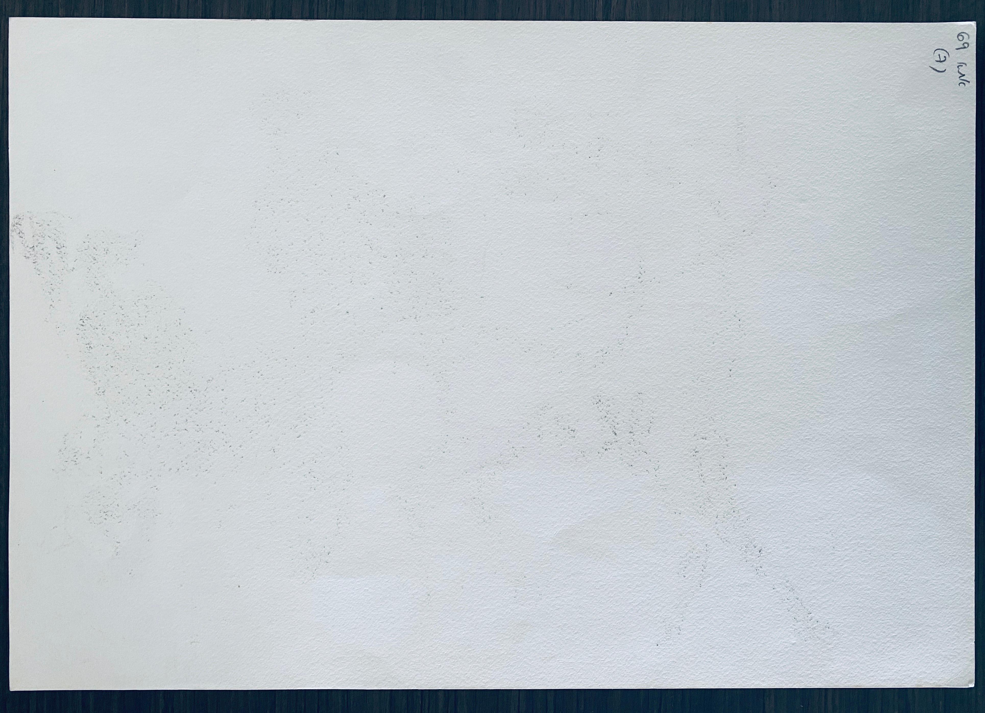 Artista polaco israelí expresionista Litografía firmada a mano en venta 5