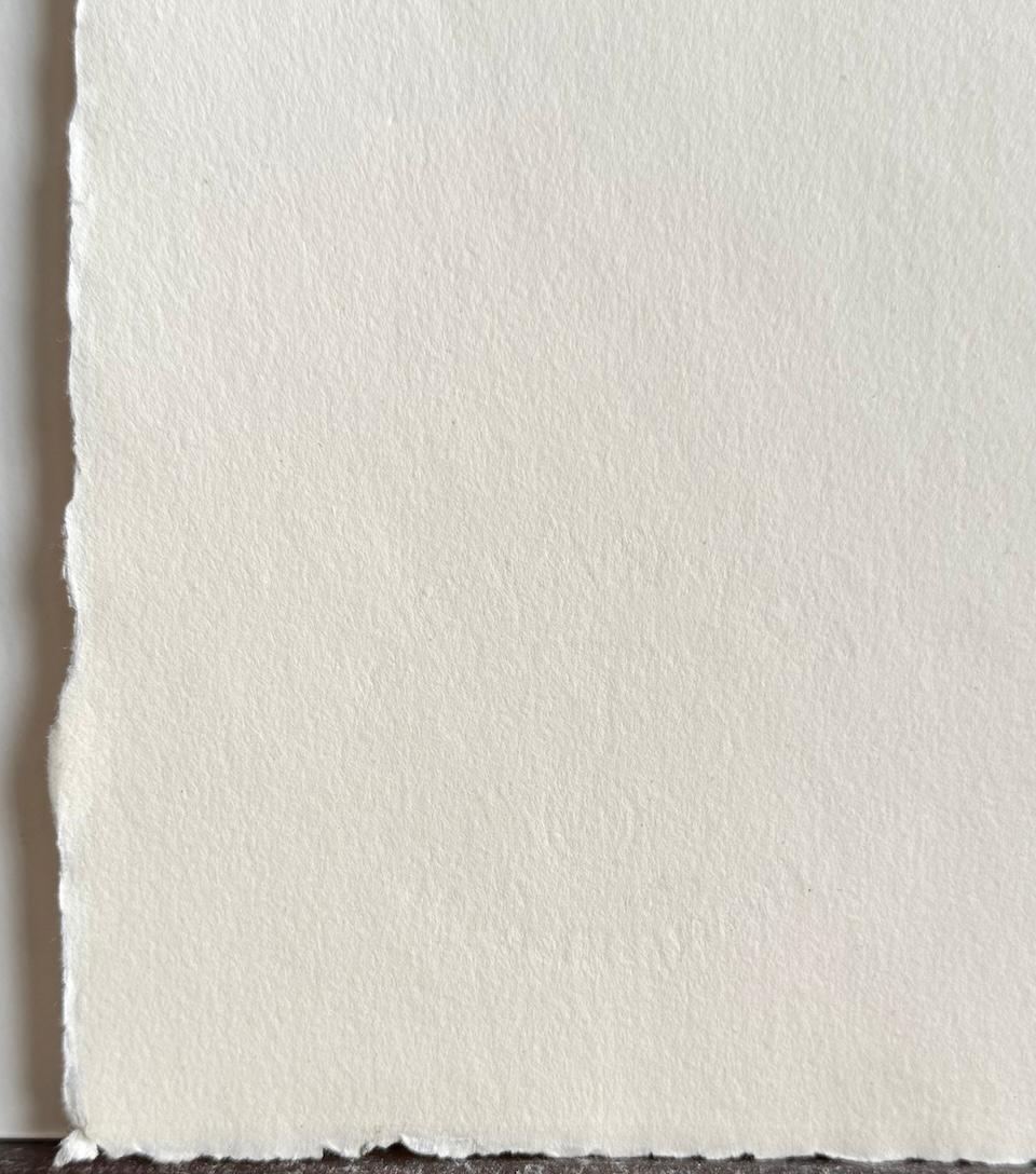 ANCIENT SCRIPT de l'artiste israélien Moshe Castel (1909-1991) est une gravure et aquatinte originale imprimée en couleurs avec du carborundum en utilisant des techniques traditionnelles de taille-douce à la main sur du papier d'archivage 100% sans