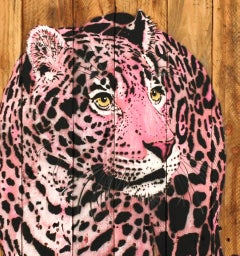 Bébé Jaguar Rose