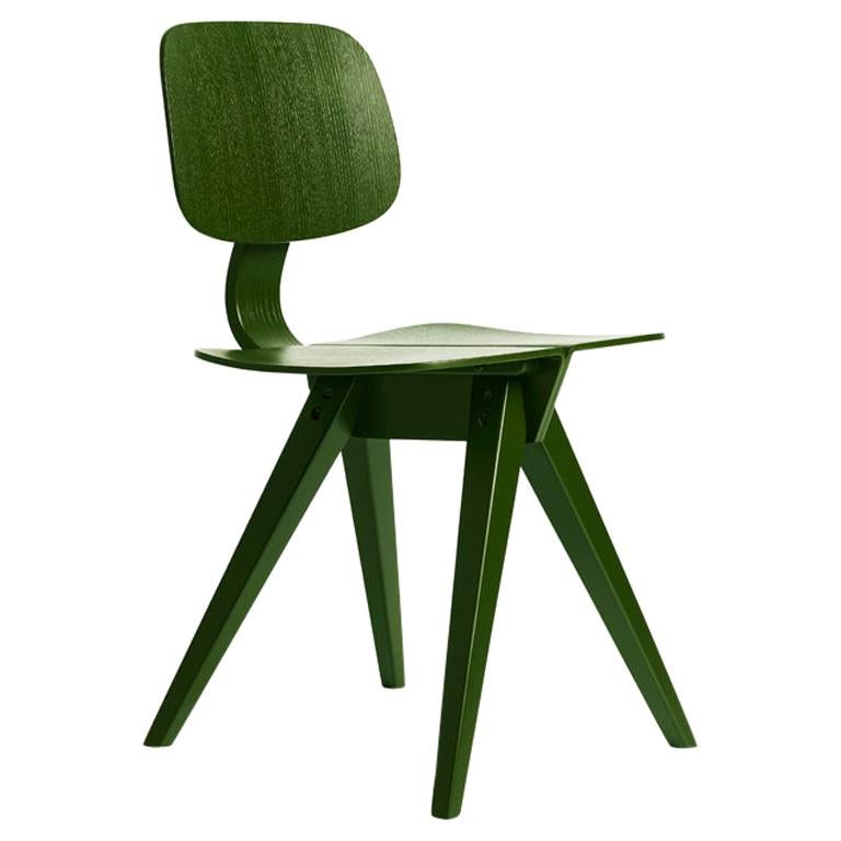 Chaise de salle à manger Mosquito, chêne vert feuille, cadre en bois et contreplaqué, mi-siècle moderne