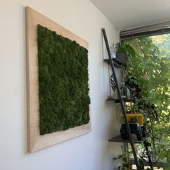 Moss Art