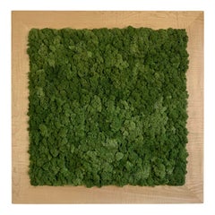 Moss Art