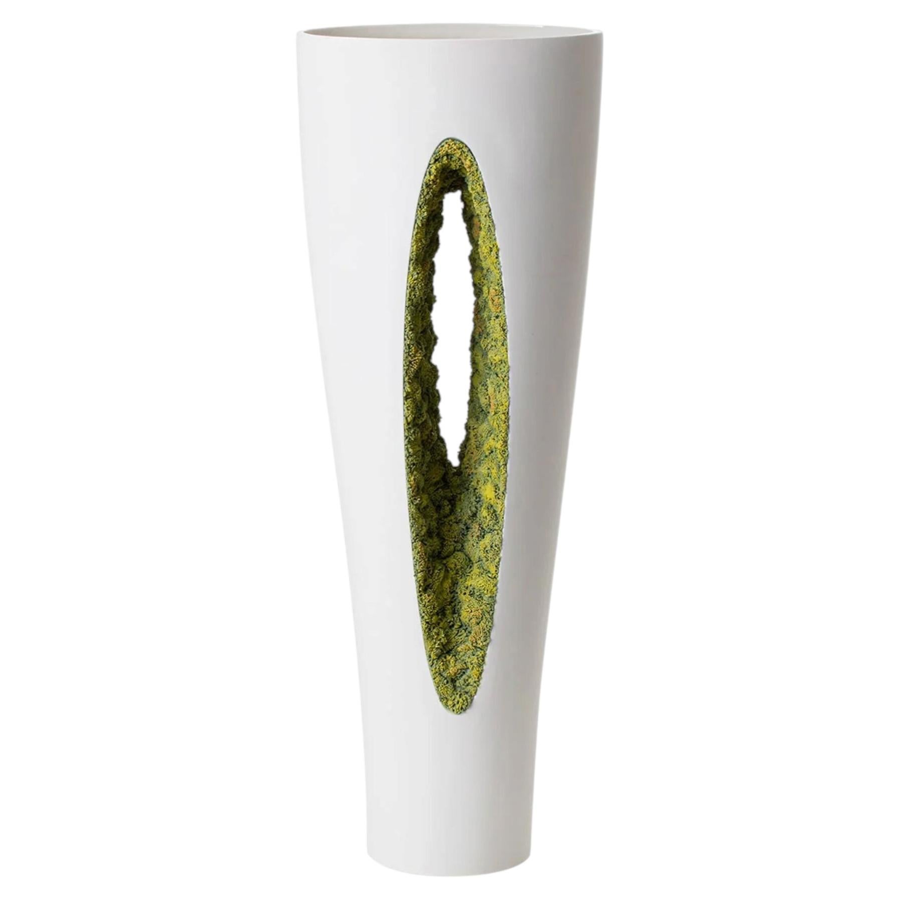 Vaso Moss in vendita