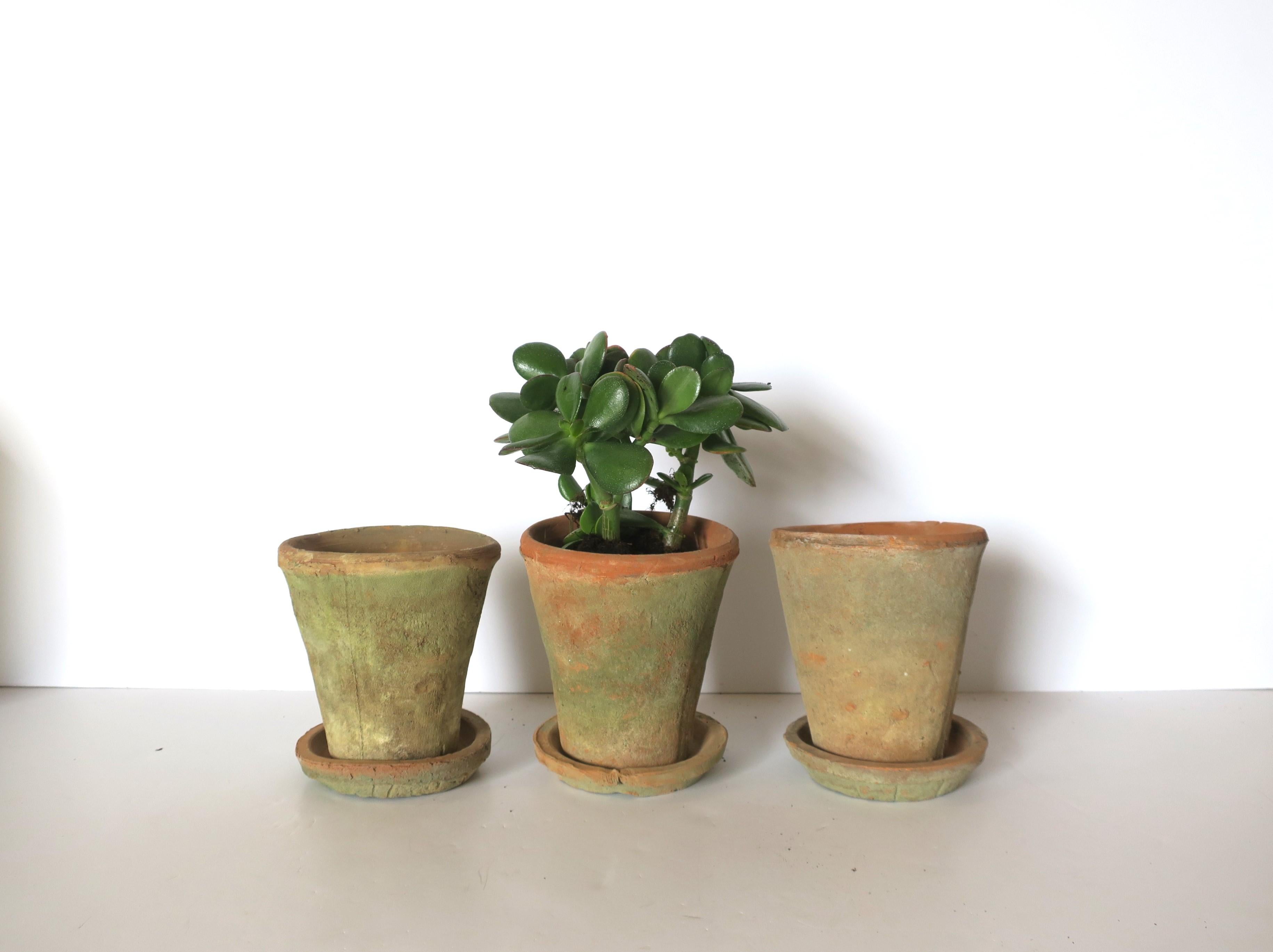 mossy terracotta pots