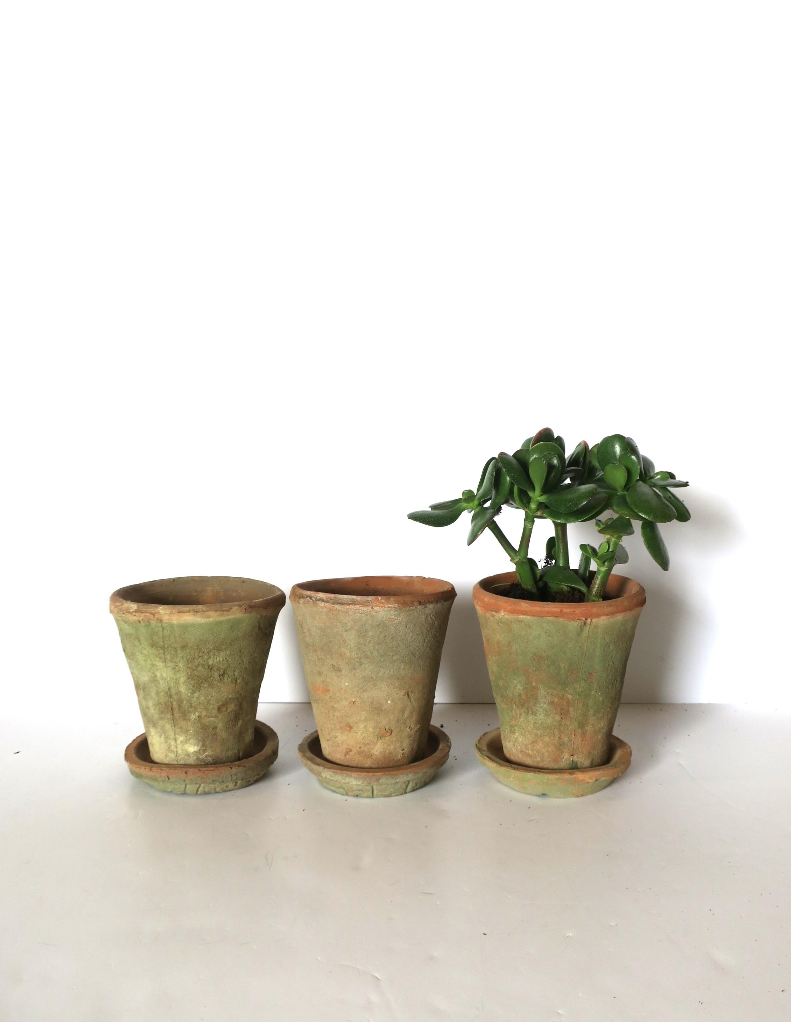flower pots for sale