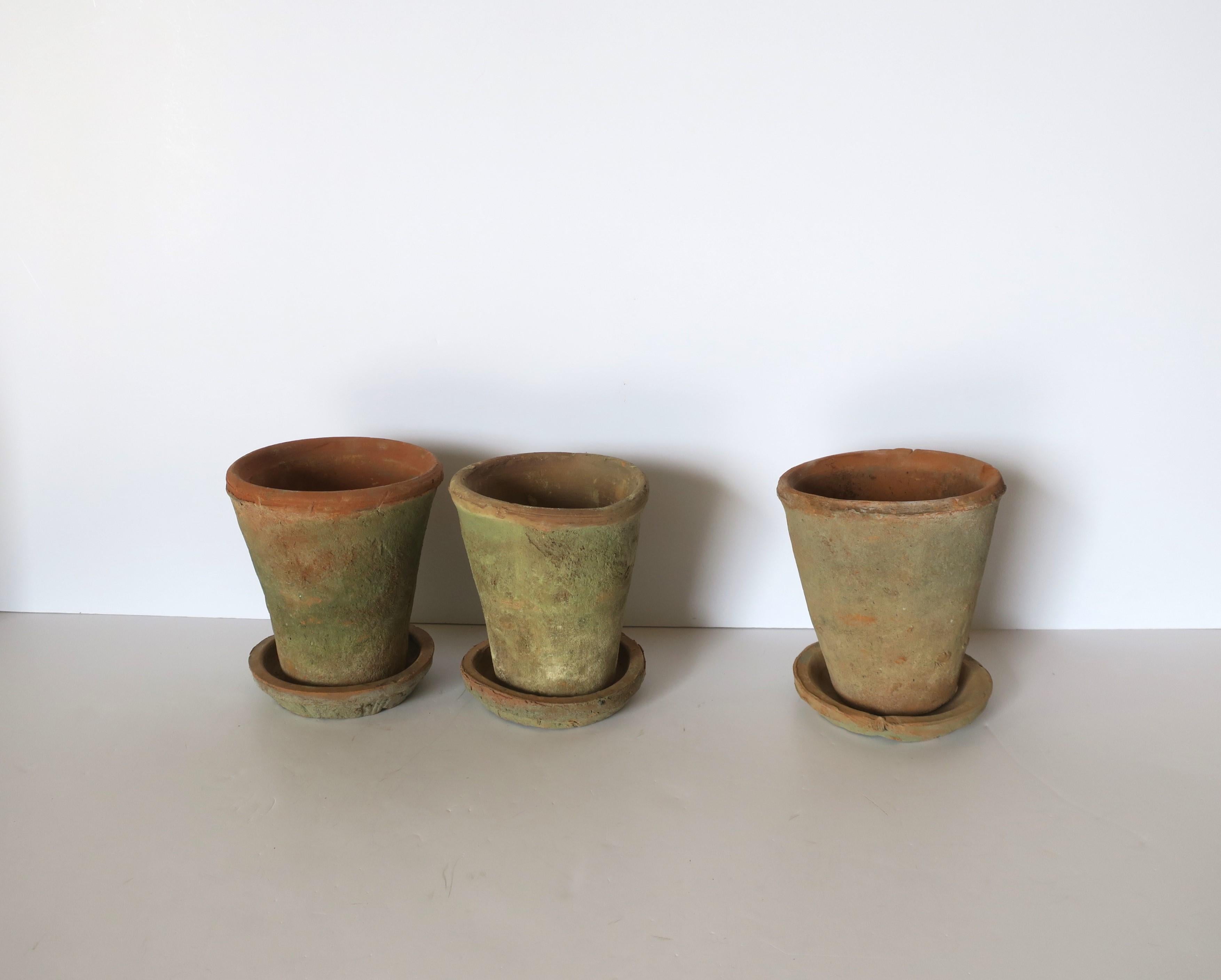 Organic Modern Mossy Green Terracotta Flower Plant Pots Planters, Set of 3